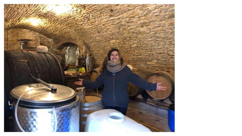 Odoo • Texte et Image