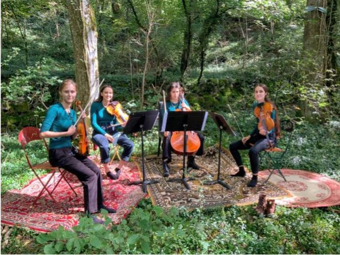 Odoo • Texte et Image