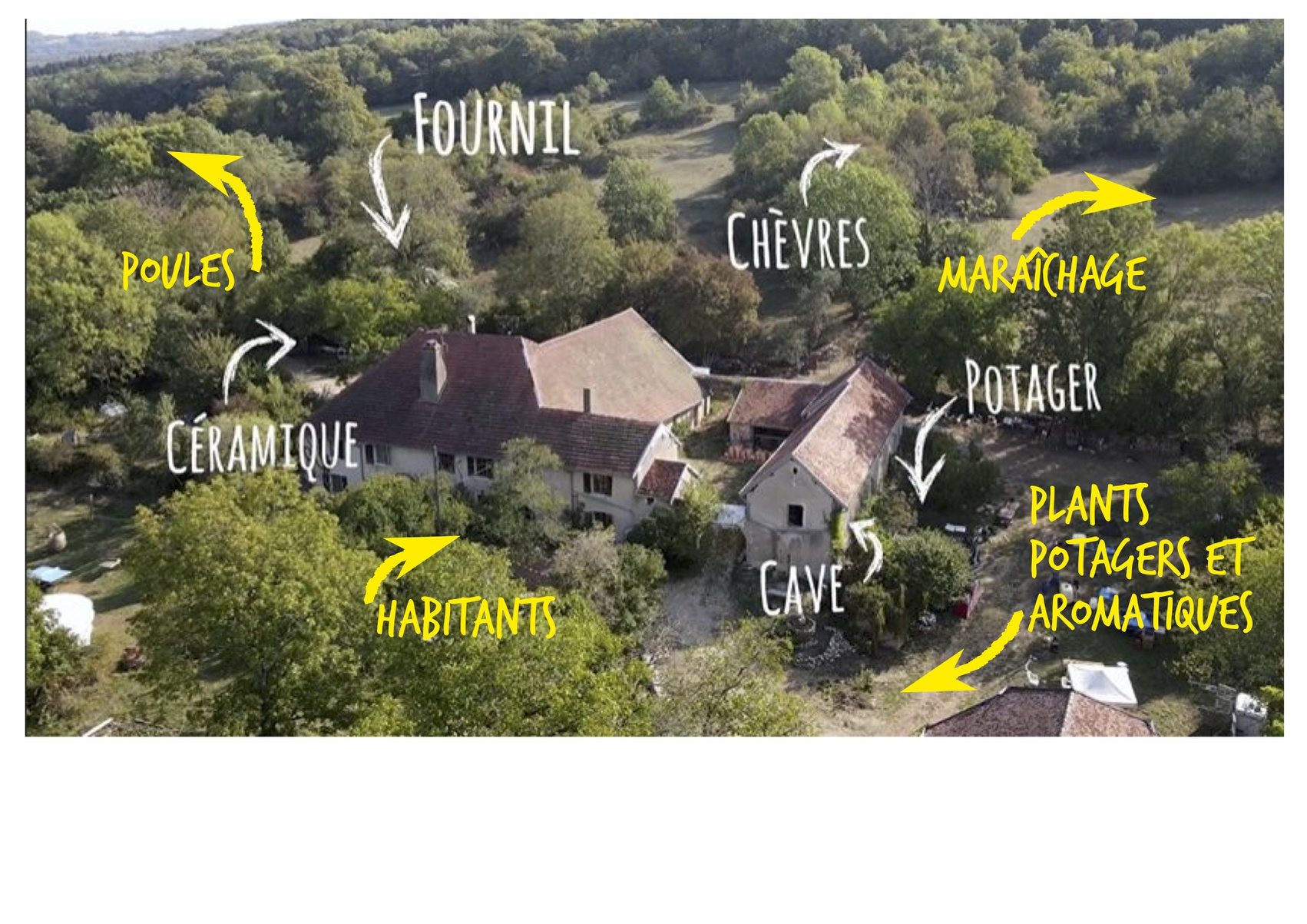 Odoo • Image et Texte