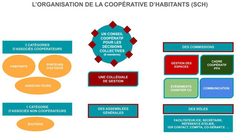 Odoo • Image et Texte